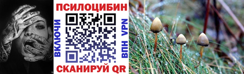 Галлюциногенные грибы Magic Shrooms  shop клад  Карачев 